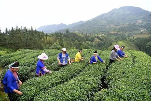三江扶貧隊(duì)員 侗歌傳唱新生活，農(nóng)副產(chǎn)品暢銷路